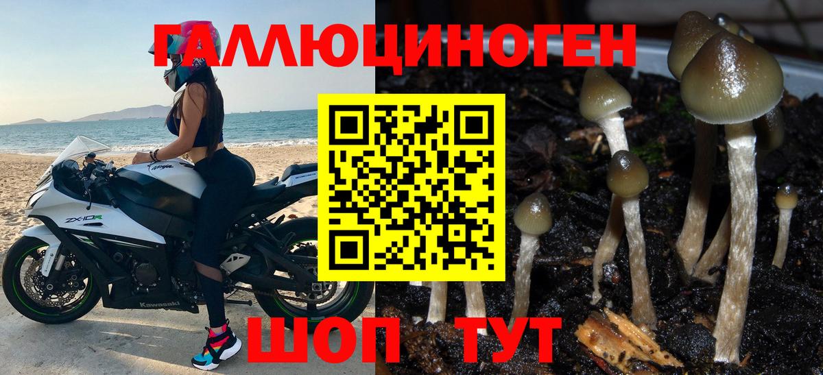 Нарткала  Галлюциногенные грибы прущие грибы  что такое   Вход с VPN 